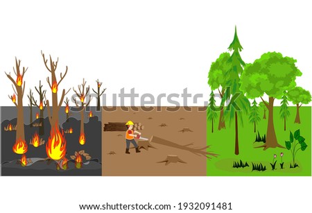 illustration of forest destruction from forest fires and illegal deforestation