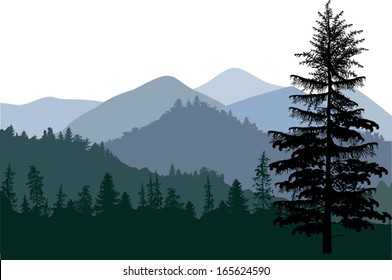 illustration with forest in mountains