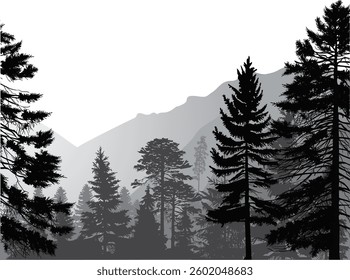 illustration with forest in mountains