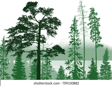 illustration with forest in mountains