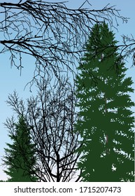 illustration with forest on blue background
