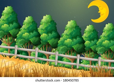 Illustration of a forest with a sleeping moon