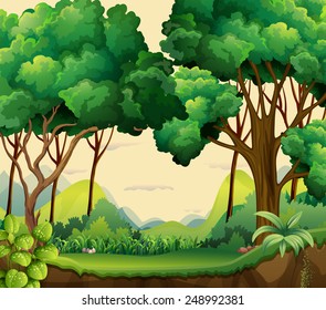 Illustration of a forest view at daytime