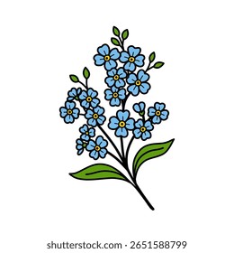 An illustration of a forget me not flower blossom branch. Hand drawn style with black outline and a white background.