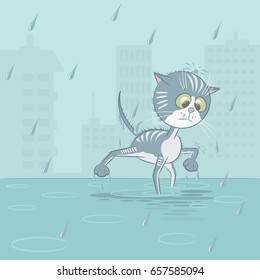 Illustration in the form of a wet cat under the rain