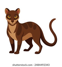 Illustration of Fossa animal on white