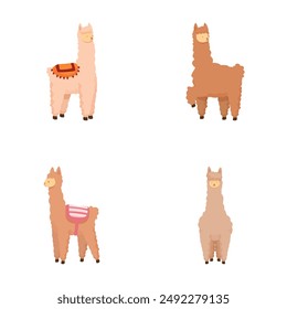 Ilustración de cuatro adorables alpacas en diferentes colores con fondo simple