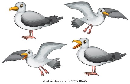 Illustration of four birds on a white background