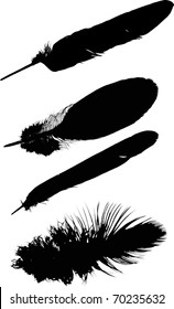 illustration with four black feathers isolated on white background