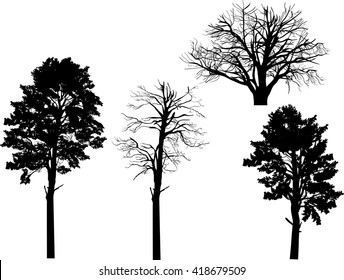 Illustration mit vier schwarzen Piniensilhouetten einzeln auf weißem Hintergrund