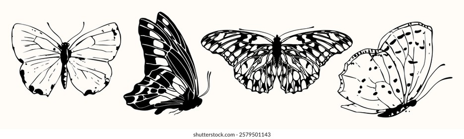 Illustration of four butterflies in black and white. Each butterfly has unique patterns. Detailed butterfly wings. Artistic butterfly design. Animal illustrations, isolated element vector set.