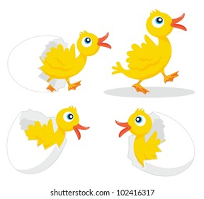 Illustration des Schlüpfens von vier Küken