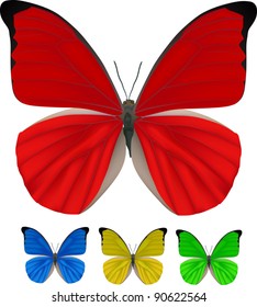 illustration with four color butterflies isolated on white background