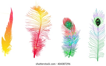 illustration with four colored feathers isolated on white background