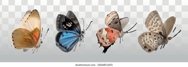 Illustration of four colorful butterflies with diverse patterns and colors. Each butterfly showcases unique designs, highlighting butterfly diversity and beauty. Isolated animal vector set.