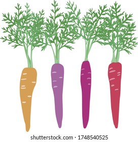 

Illustration of four colorful carrots