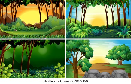 Illustration of four different scene of forests