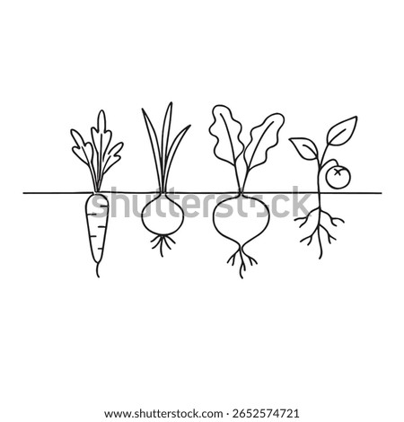Illustration of four different vegetables growing in the ground with roots and leaves