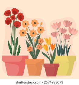 Illustration with four flower pots on a light background. Red poppies, yellow-orange daisies, yellow and orange tulips, and pink tulips are presented in bright ceramic pots of various sizes. The minim