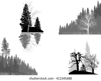 illustration with four forest compositions isolated on white background