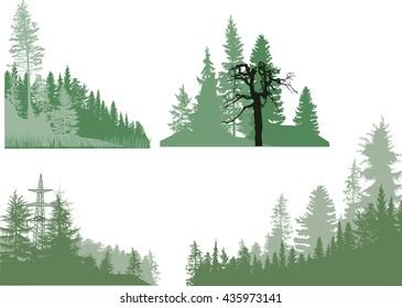 illustration with four forest compositions isolated on white background