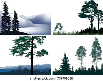illustration with four forest compositions isolated on white background