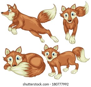 Illustration of the four foxes on a white background