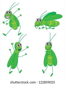 Illustration of four grasshoppers on a white background