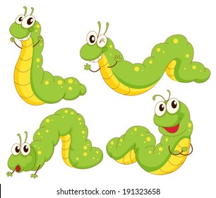 Illustration of the four green caterpillars on a white background