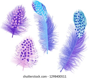 illustration with four lilac feathers isolated on white background