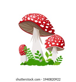 An illustration of four mushrooms. Red toadstools of different shapes among green young grass on a white background.Flat lay. Banner or poster. Vector.