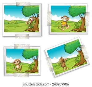 Illustration of four photographs of monkeys