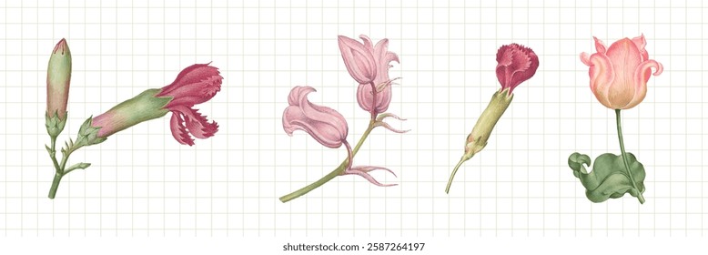 Illustration of four pink flowers on a grid background. Each flower is unique, showcasing different pink hues and shapes. Pink flowers on grid design. Watercolor element vector set.