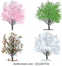 illustration with four seasons apple tree isolated on white background