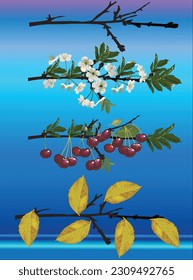 illustration with four seasons cherry tree branches on blue background