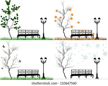 illustration with four seasons in park