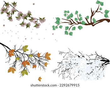 illustration with four seasons tree branches isolated on white background