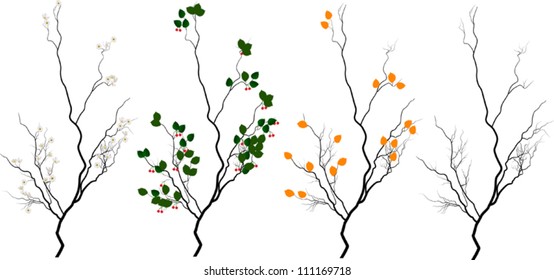 illustration with four seasons trees isolated on white background