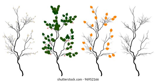 illustration with four seasons trees isolated on white background