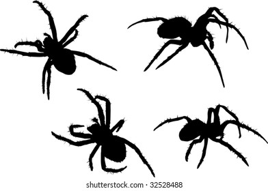 illustration with four spider silhouettes isolated on white