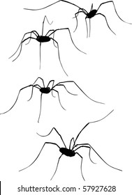 illustration with four spider silhouettes isolated on white