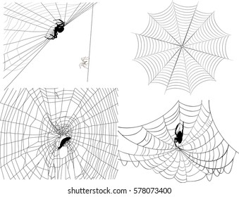 ilustración con cuatro telarañas aisladas en fondo blanco