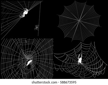ilustración con cuatro telarañas aisladas en fondo negro