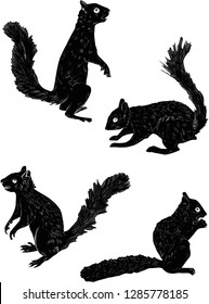 illustration with four squirrels isolated on white background