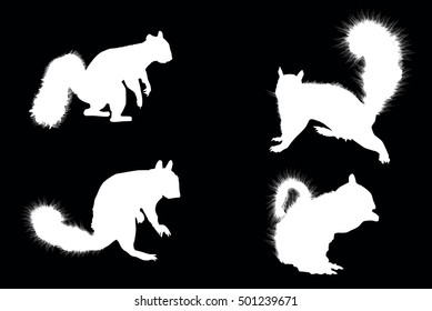 illustration with four squirrels isolated on black background