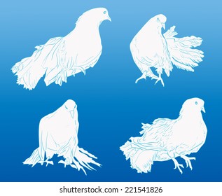 illustration with four white pigeon on blue background