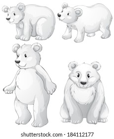 Illustration of the four white polar bears on a white background