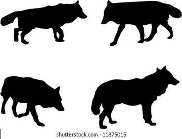 illustration with four wolf silhouettes isolated on white background