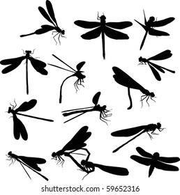 illustration with fourteen dragonfly silhouettes isolated on white