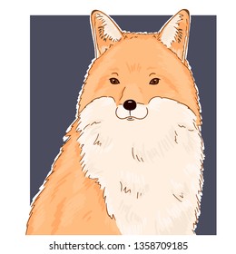 Illustration of fox animal face. Vector cute red fox portrait. Realistic winter fur red wild fox portrait on black background. Hand drawn animal sketch.